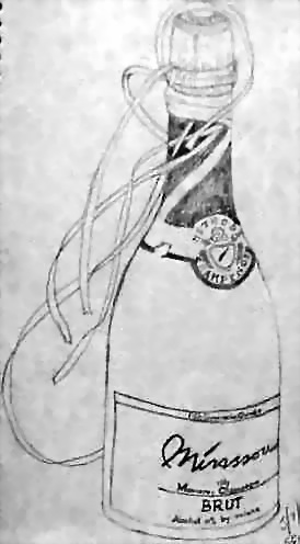 bottle