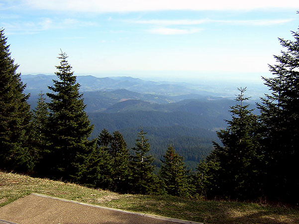 the view from Mary's Peak
