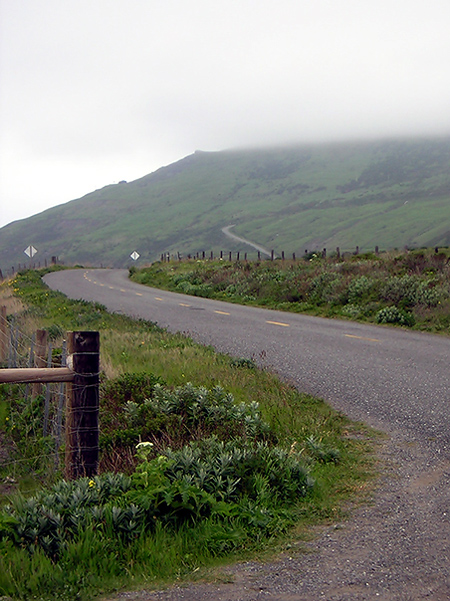 the road to Petrolia