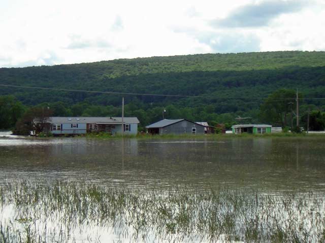 flood four