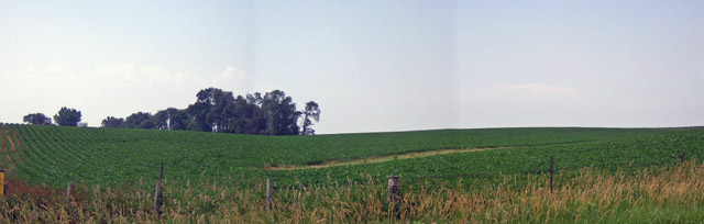 bernard iowa