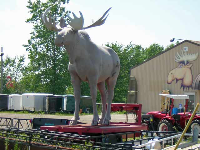 giant moose