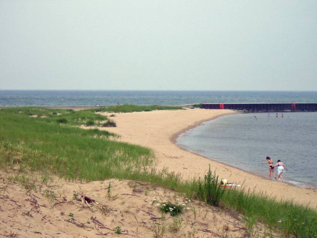 mantisee