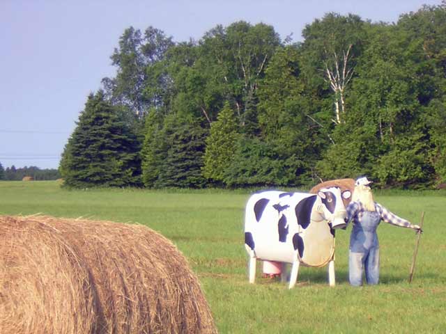 metal cown and farmer