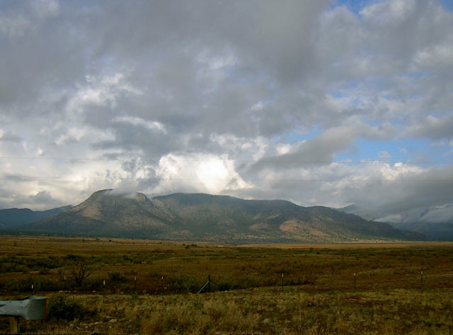 NM Dawn