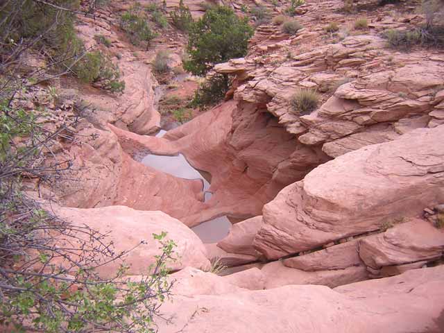 red rock pools