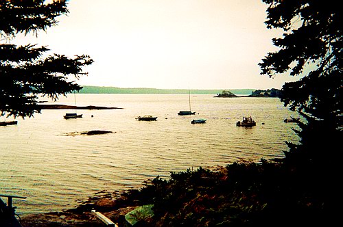 the view from the rocks